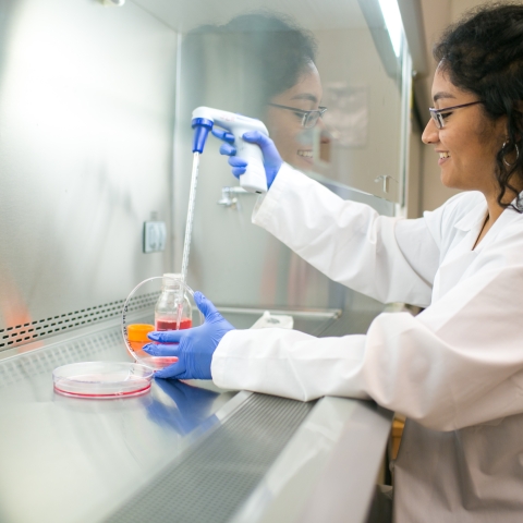 Woman taking samples from dish in a lab.