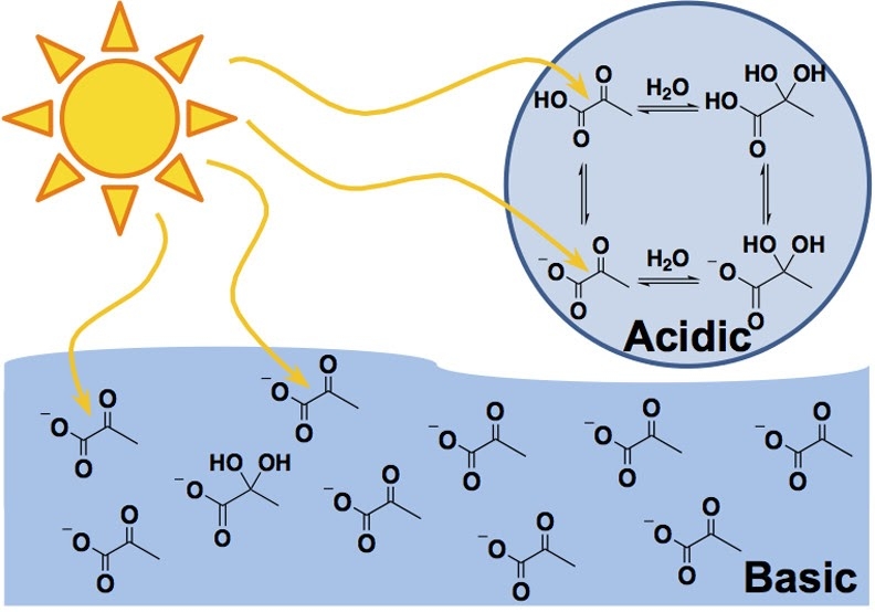 pH Dependence of the Aqueous Photochemistry of α-Keto Acids